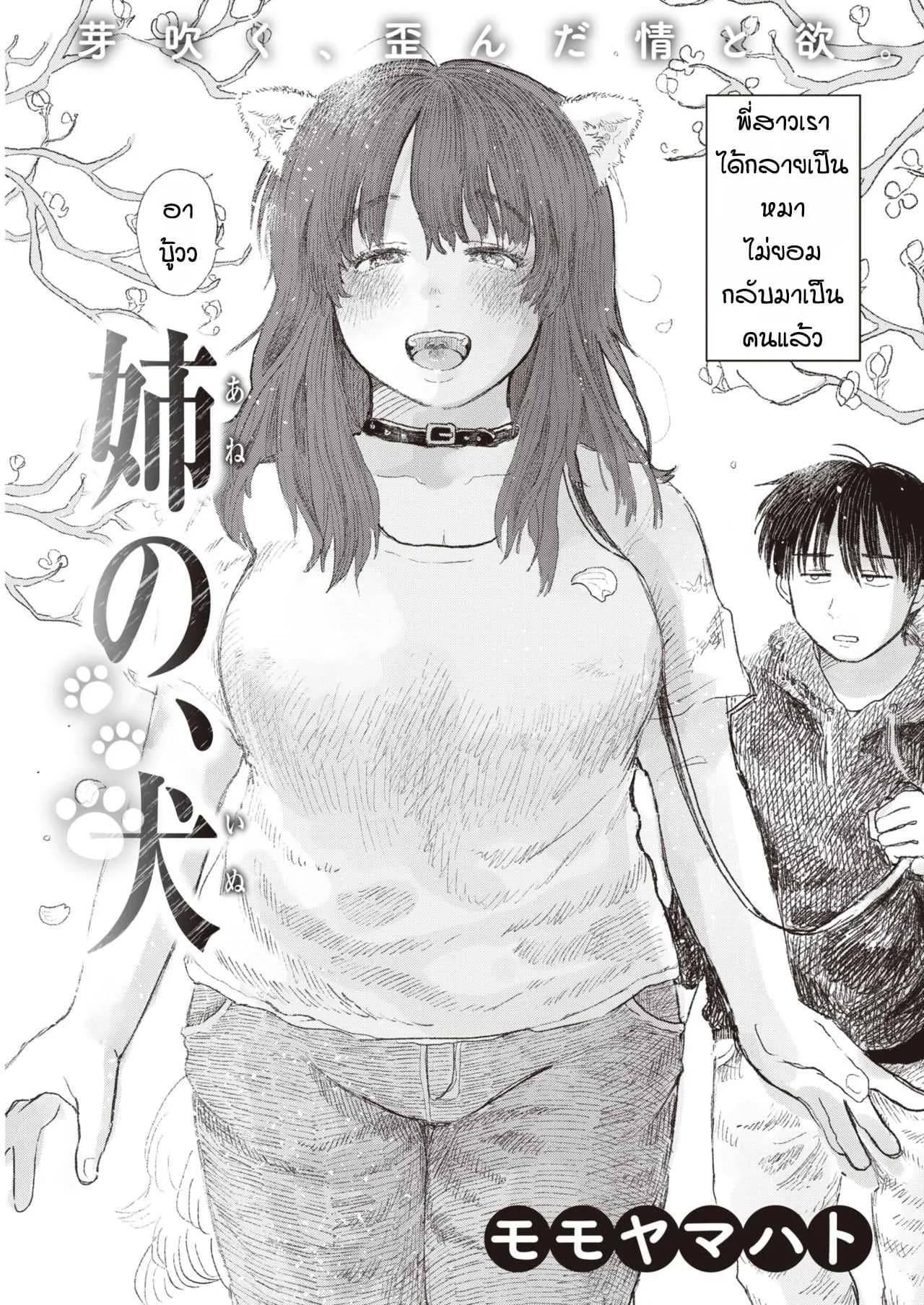 ความผิดพลาดของพี่สาว [Momoyamahato] Ane no inu
